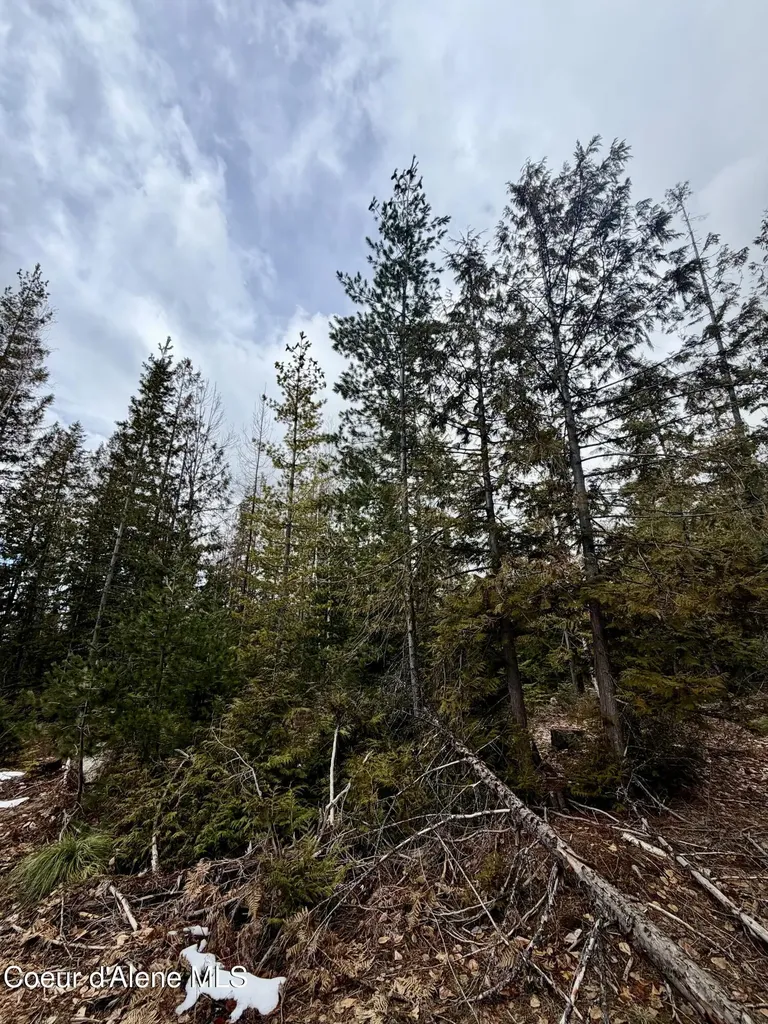 Nna Cross Mountain Road Sandpoint ID 83864