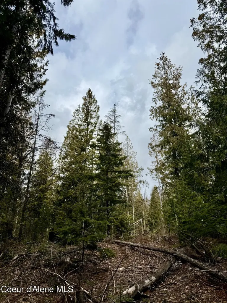 Nna Cross Mountain Road Sandpoint ID 83864