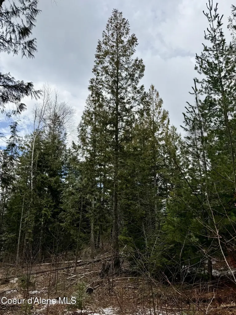 Nna Cross Mountain Road Sandpoint ID 83864