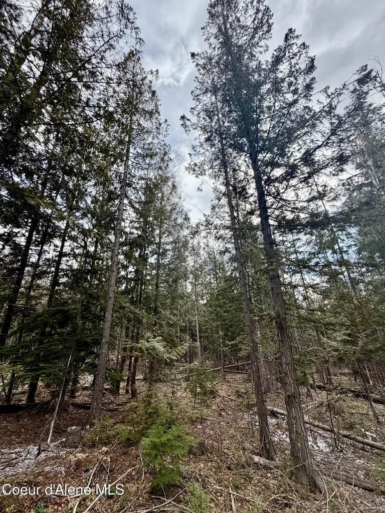 Nna Cross Mountain Road Sandpoint ID 83864