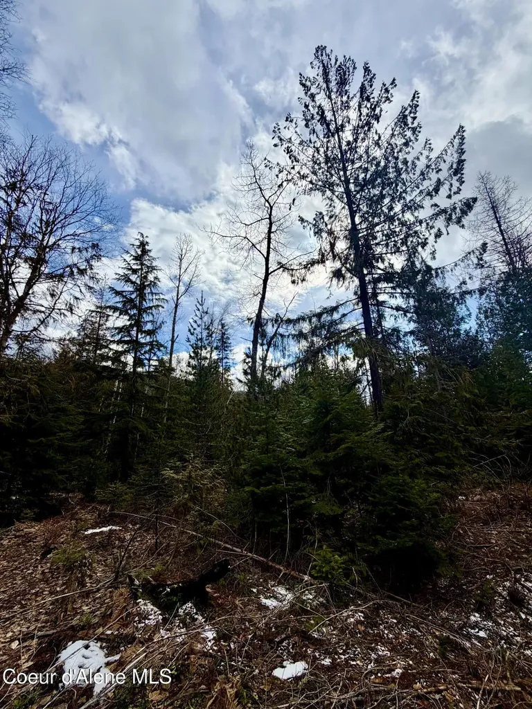 Nna Cross Mountain Road Sandpoint ID 83864