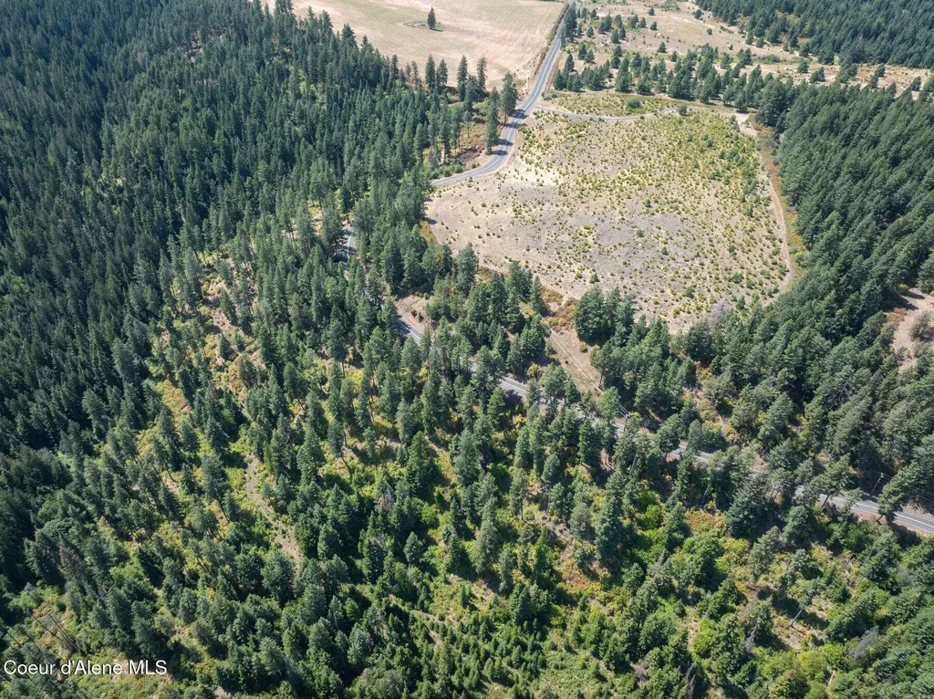 L3 S. Bella Vista Road Worley ID 83876