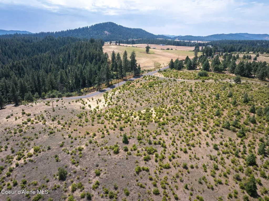 L3 S. Bella Vista Road Worley ID 83876