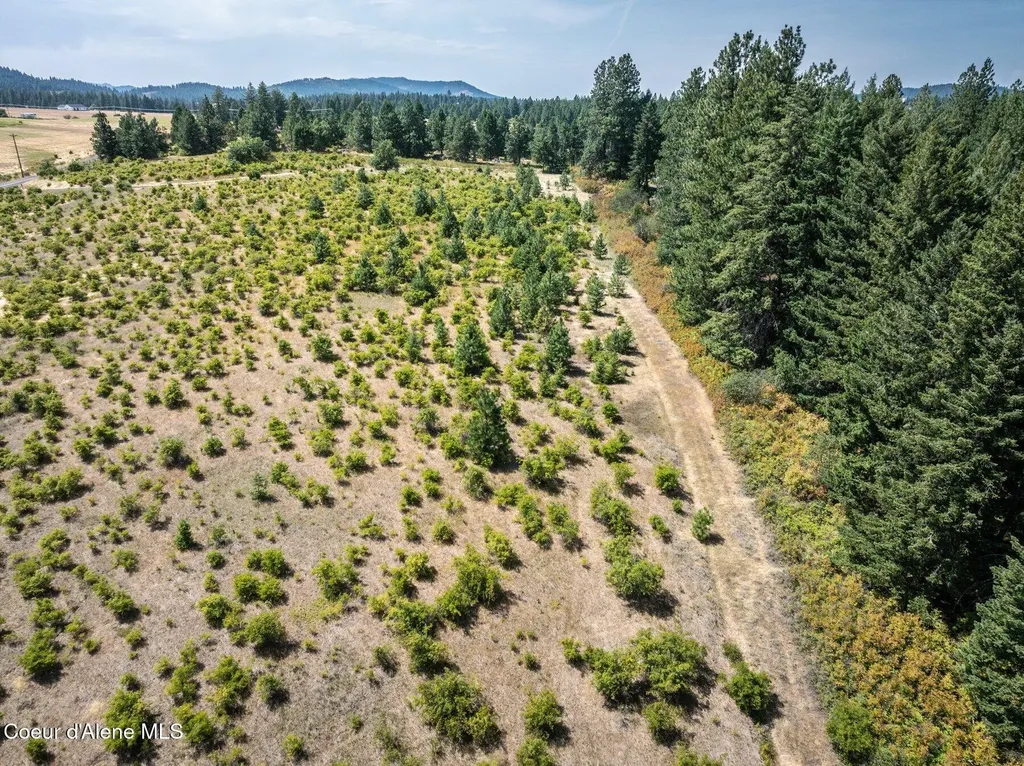 L3 S. Bella Vista Road Worley ID 83876