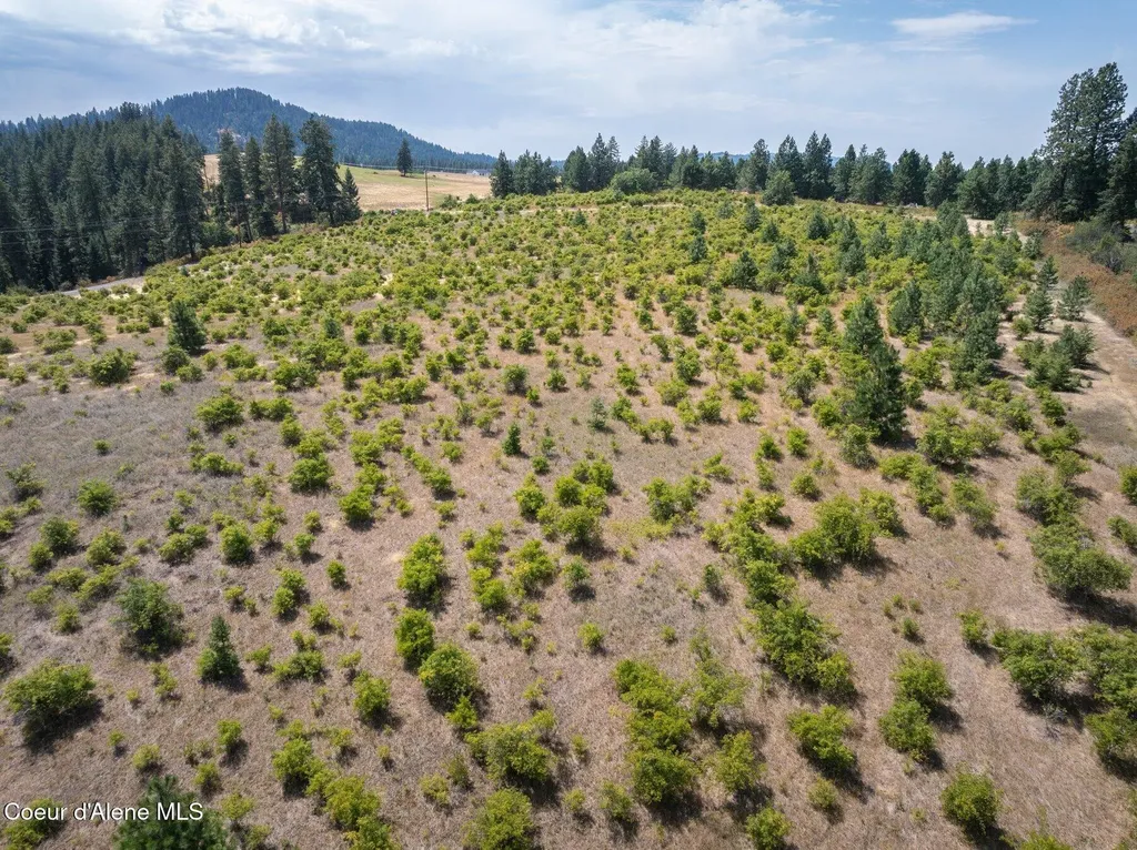 L3 S. Bella Vista Road Worley ID 83876