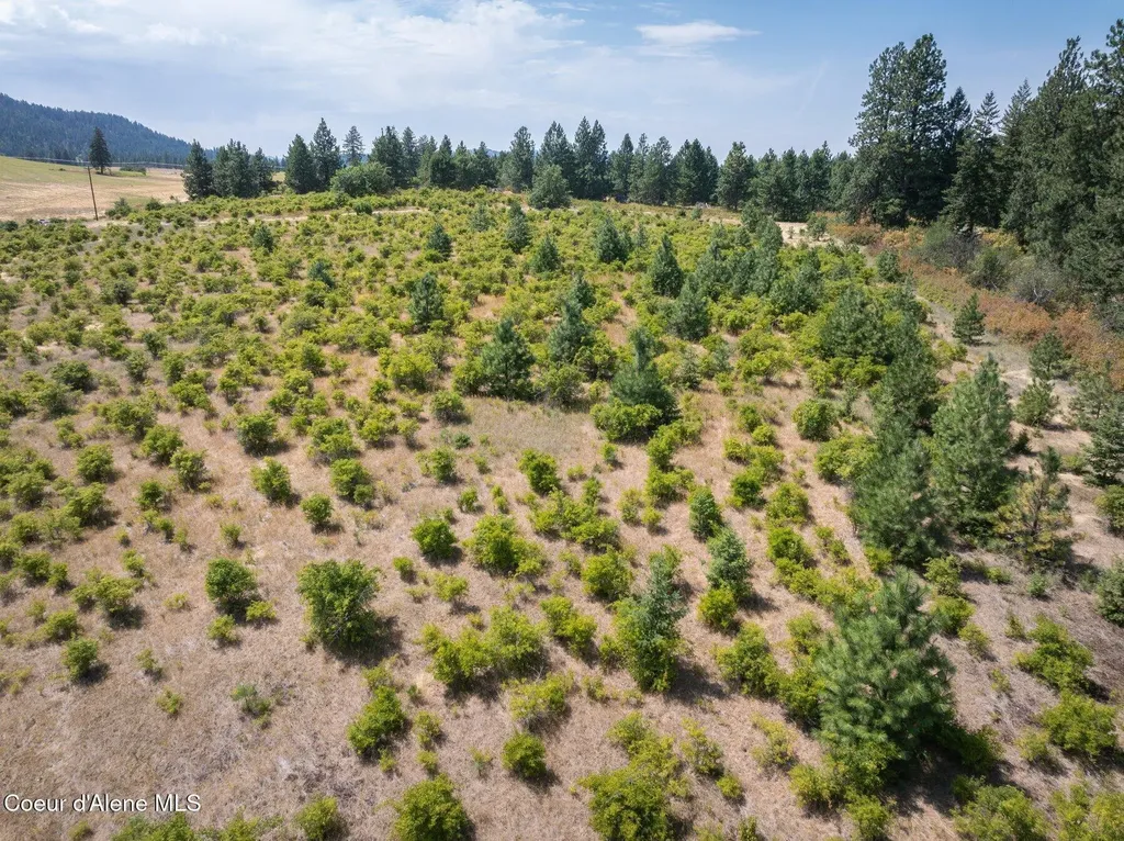 L3 S. Bella Vista Road Worley ID 83876