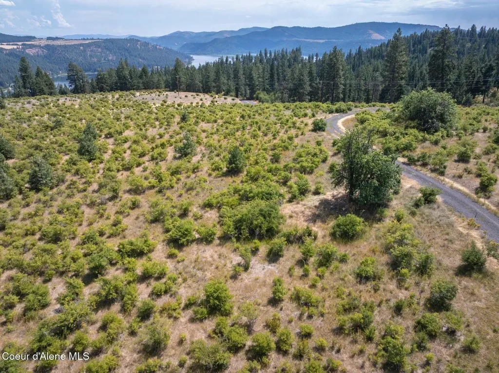 L3 S. Bella Vista Road Worley ID 83876