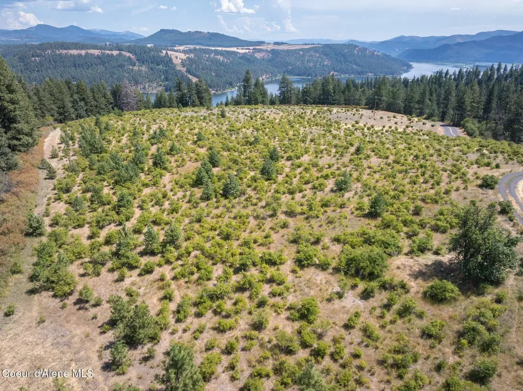 L3 S. Bella Vista Road Worley ID 83876