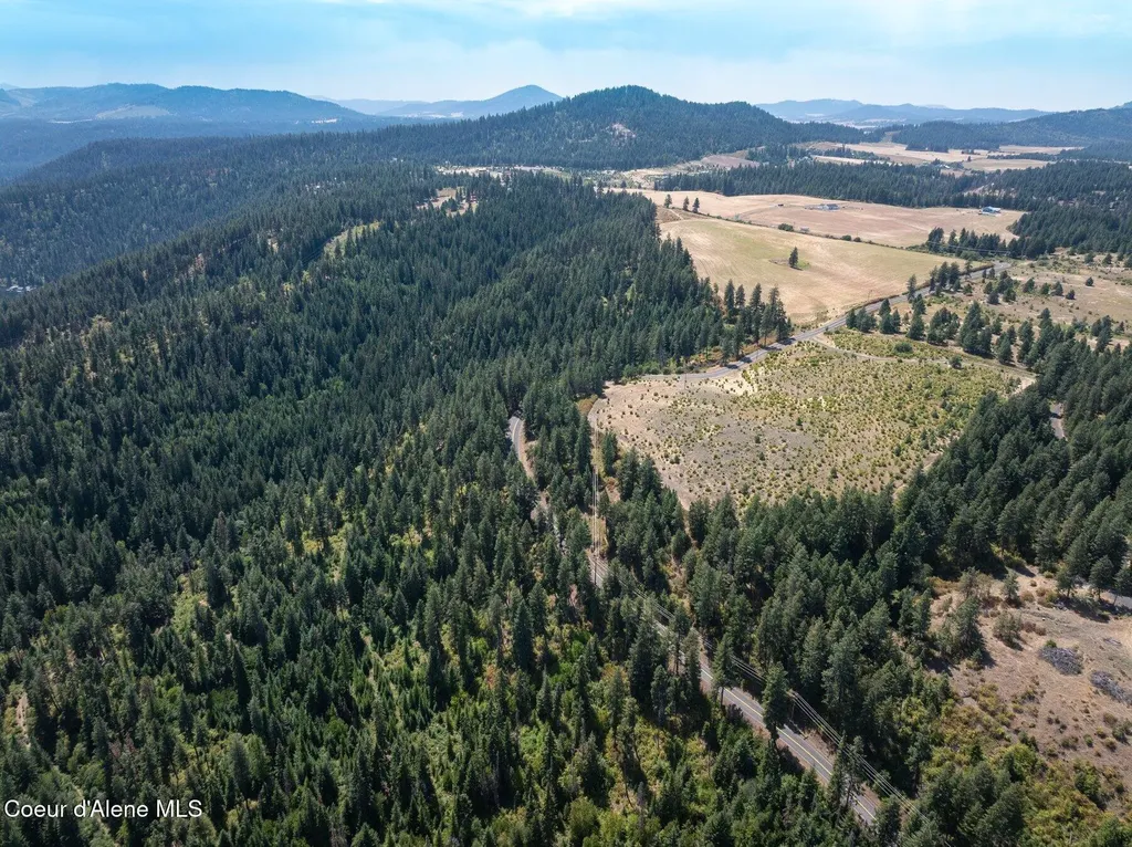 L3 S. Bella Vista Road Worley ID 83876
