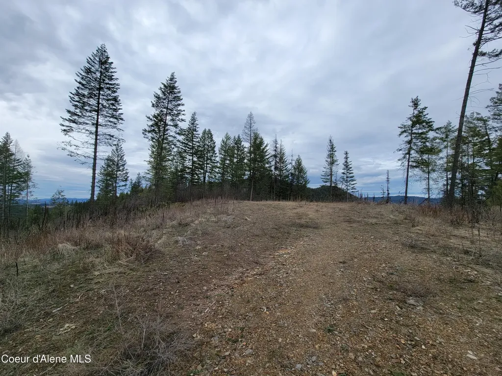 Parcel A Lamb Road Harrison ID 83833