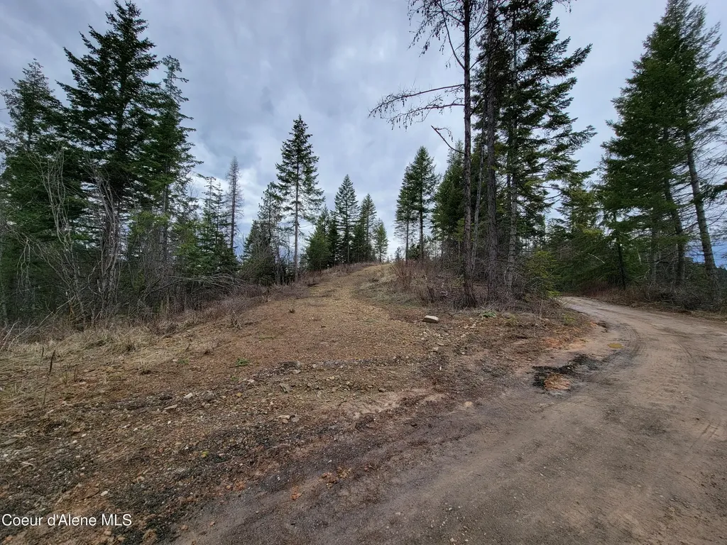Parcel A Lamb Road Harrison ID 83833