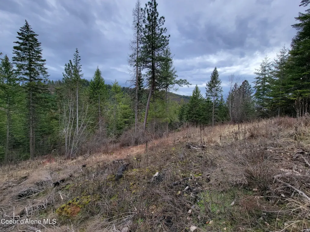 Parcel A Lamb Road Harrison ID 83833