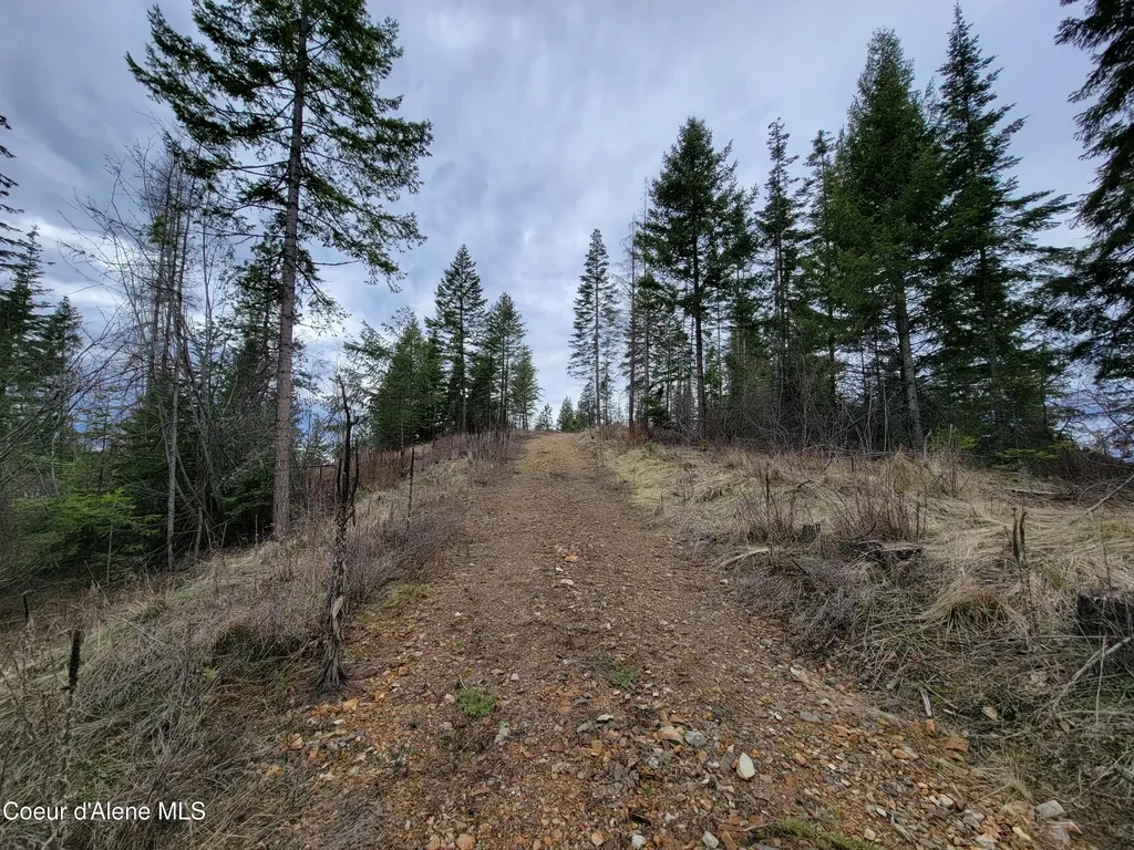 Parcel A Lamb Road Harrison ID 83833