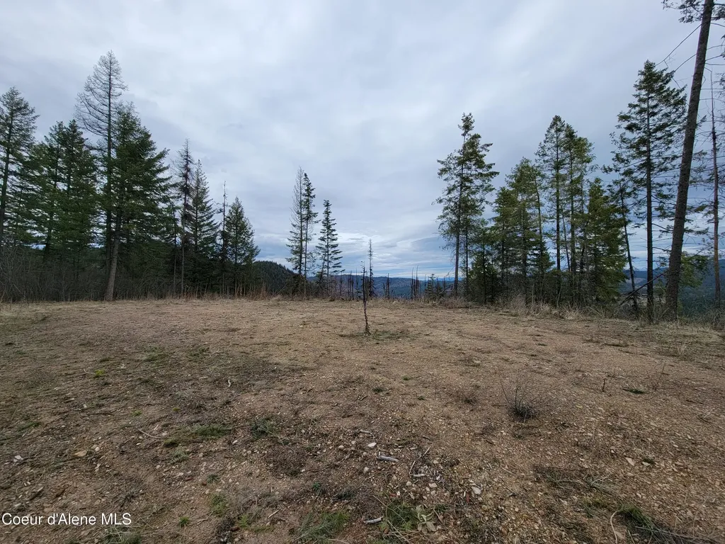 Parcel A Lamb Road Harrison ID 83833