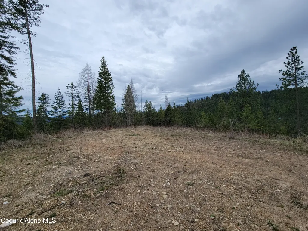 Parcel A Lamb Road Harrison ID 83833