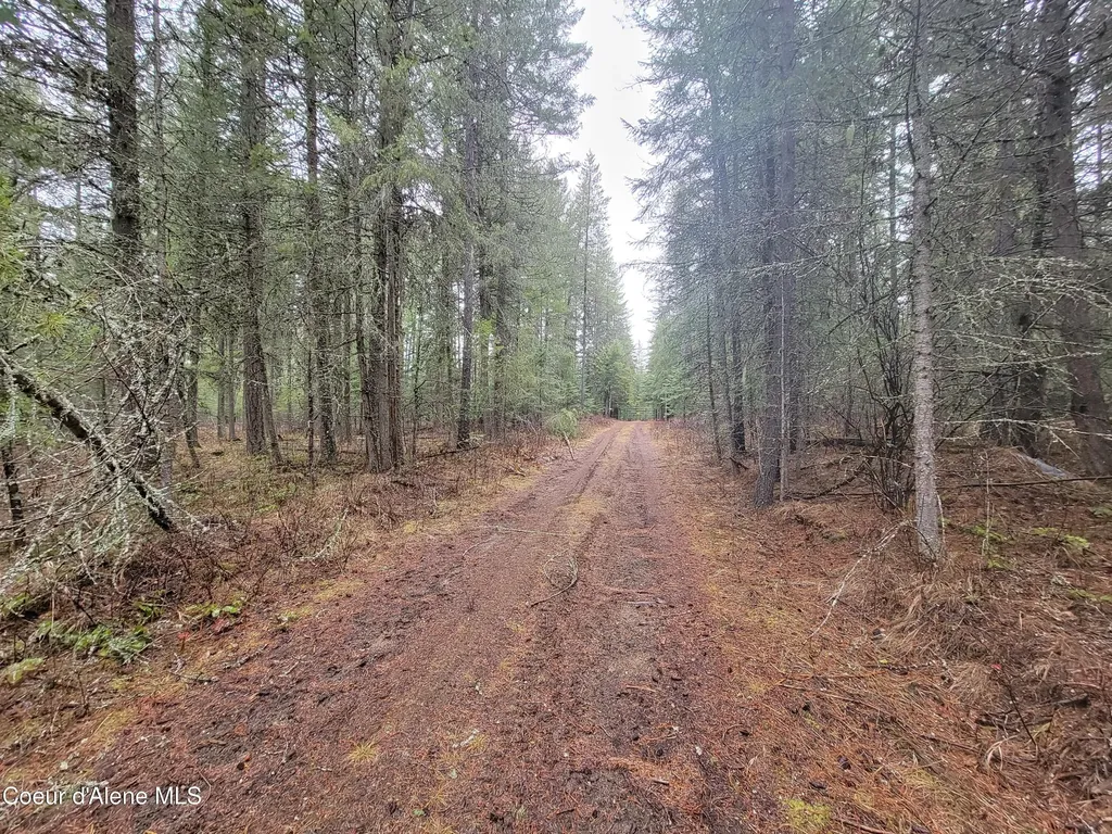 Nka Terry Trail Priest River ID 83856
