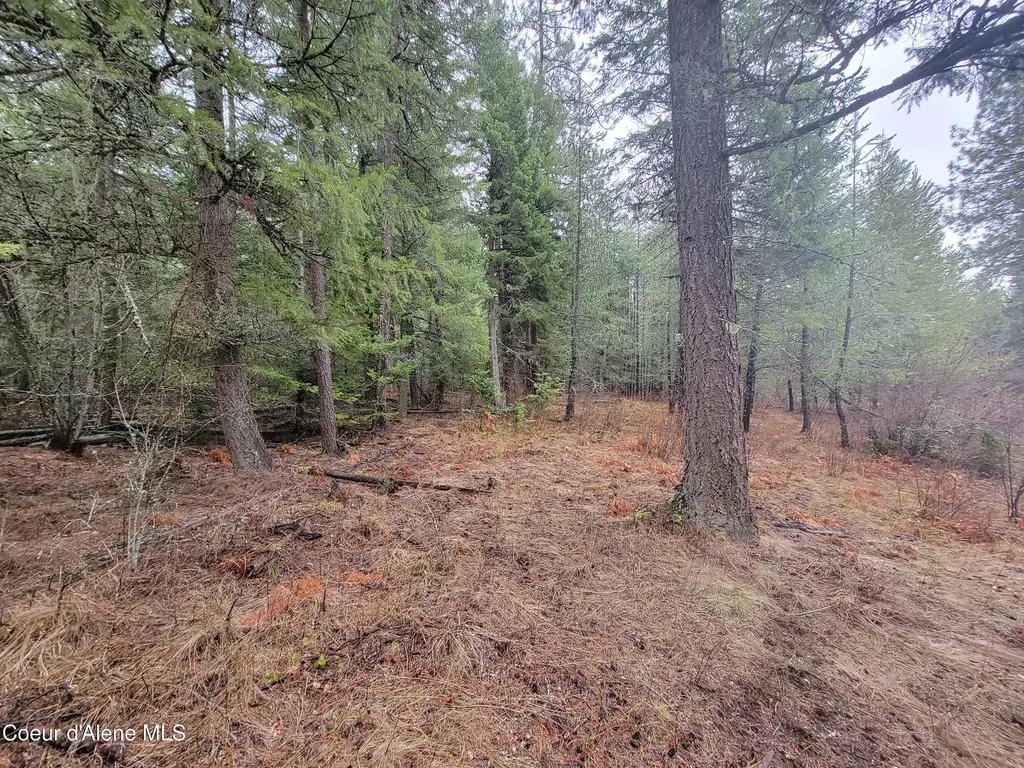 Nka Terry Trail Priest River ID 83856