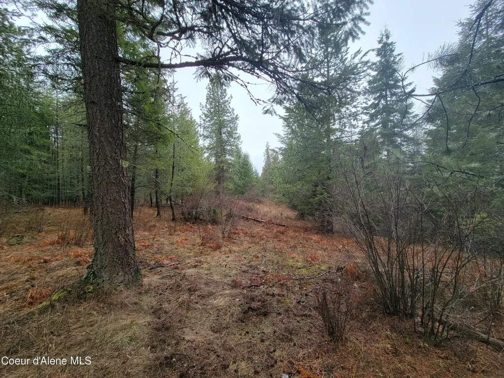 Nka Terry Trail Priest River ID 83856