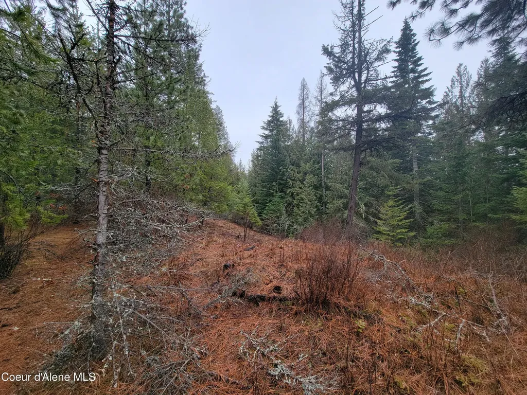 Nka Terry Trail Priest River ID 83856