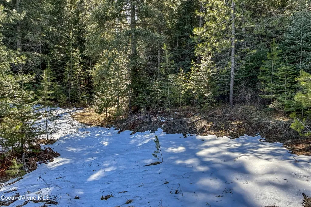 533 Artisan Way Sandpoint ID 83864