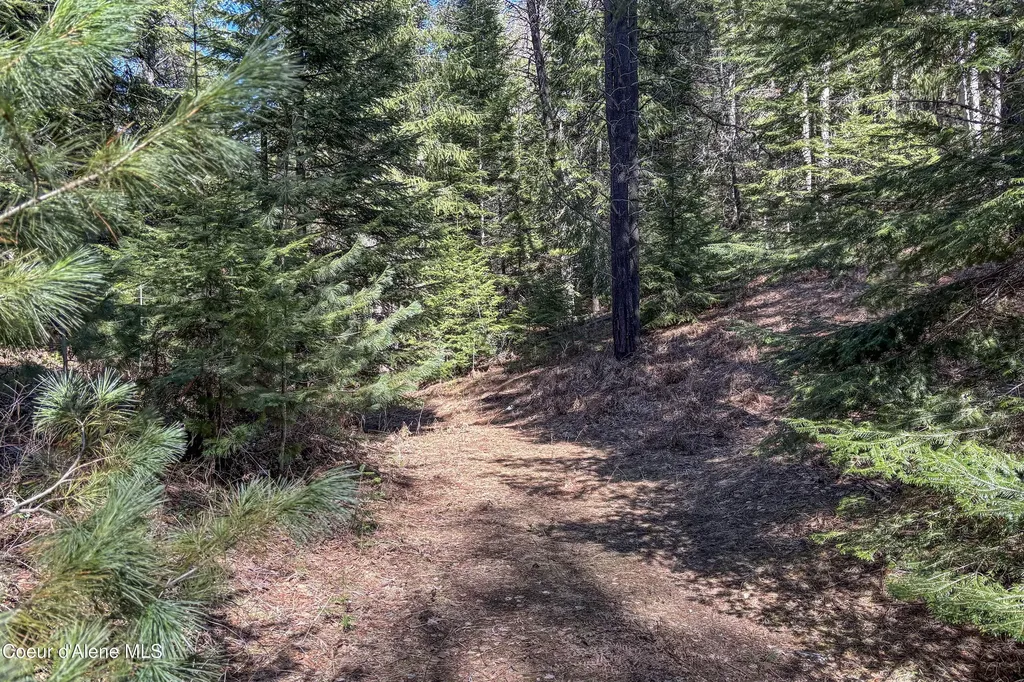 533 Artisan Way Sandpoint ID 83864