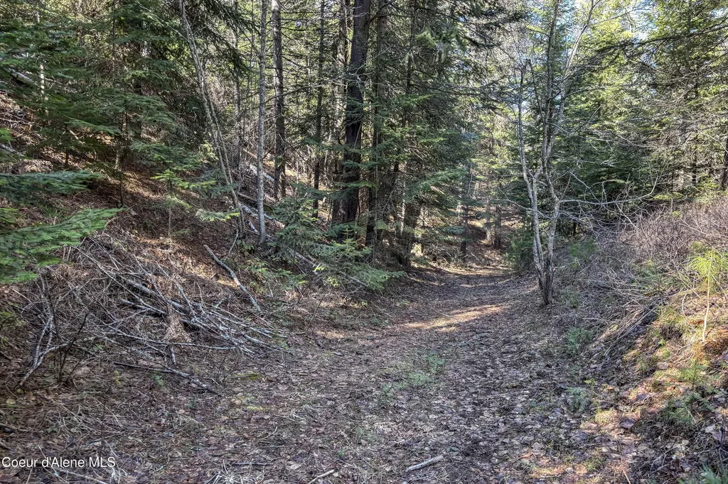 533 Artisan Way Sandpoint ID 83864