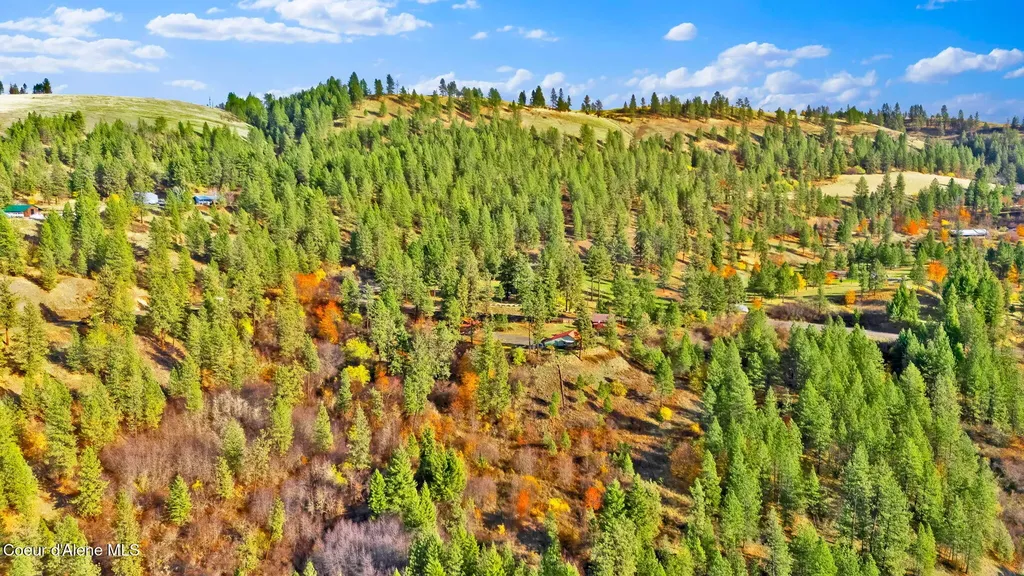 5443 Highway 11 Orofino ID 83544