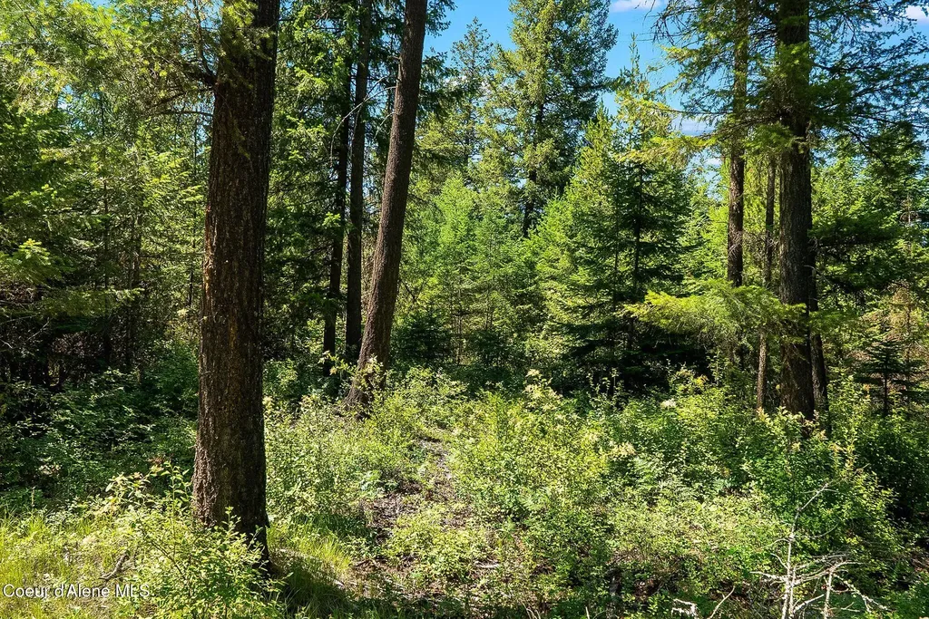 Nna Blk 5 Lot 4 Graham Avenue Priest River ID 83856