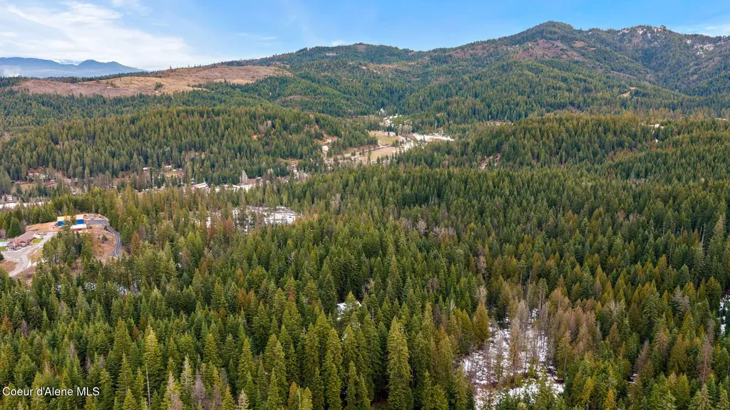 17875 N Richards Drive Hayden ID 83835