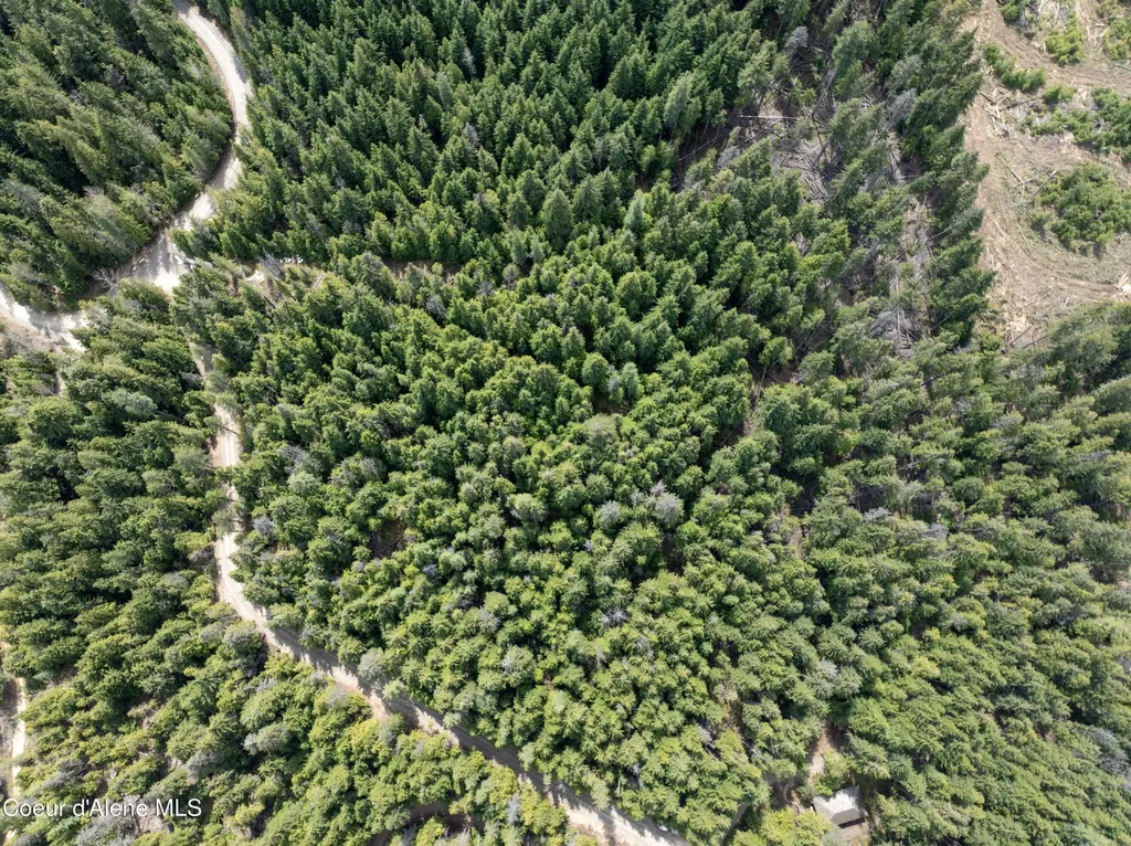 20 Acres Canoe Point Road Coolin ID 83821