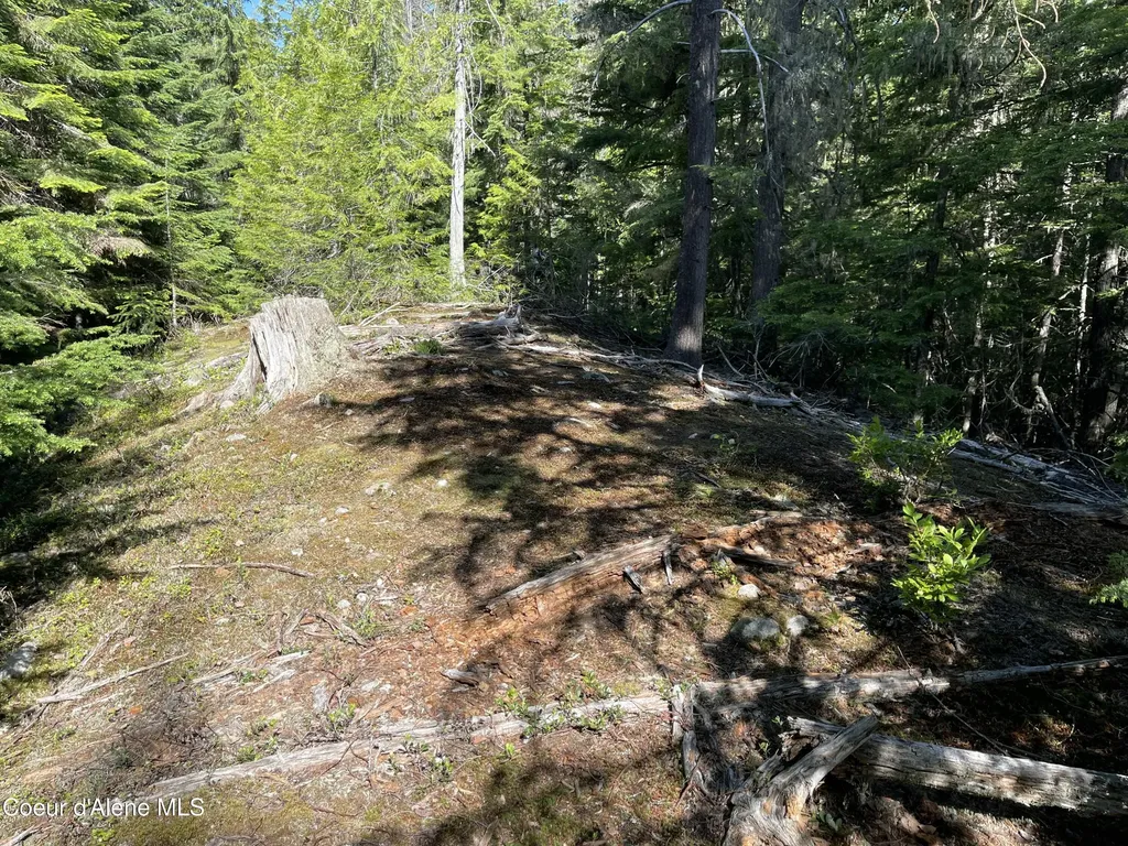 20 Acres Canoe Point Road Coolin ID 83821