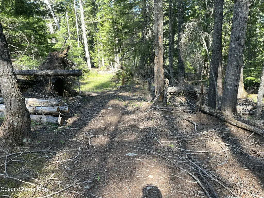 20 Acres Canoe Point Road Coolin ID 83821