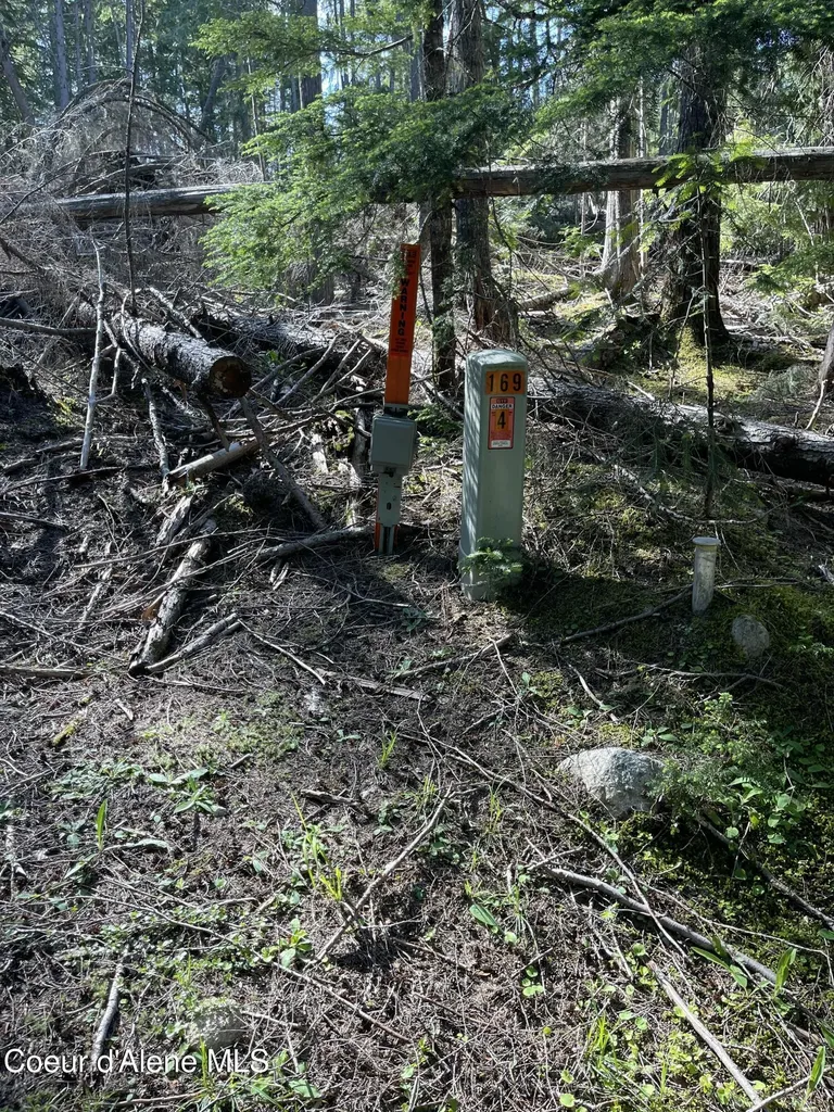 20 Acres Canoe Point Road Coolin ID 83821