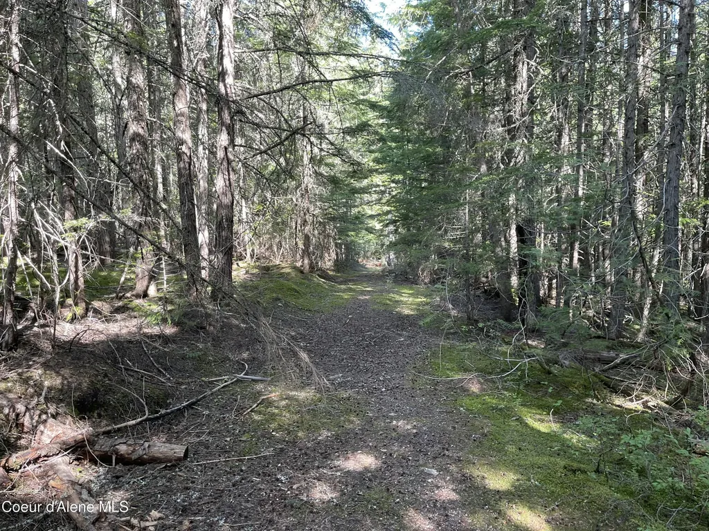 20 Acres Canoe Point Road Coolin ID 83821