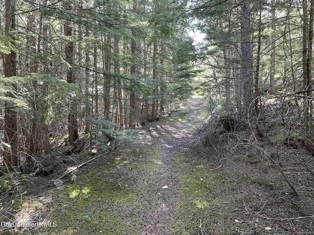 20 Acres Canoe Point Road Coolin ID 83821