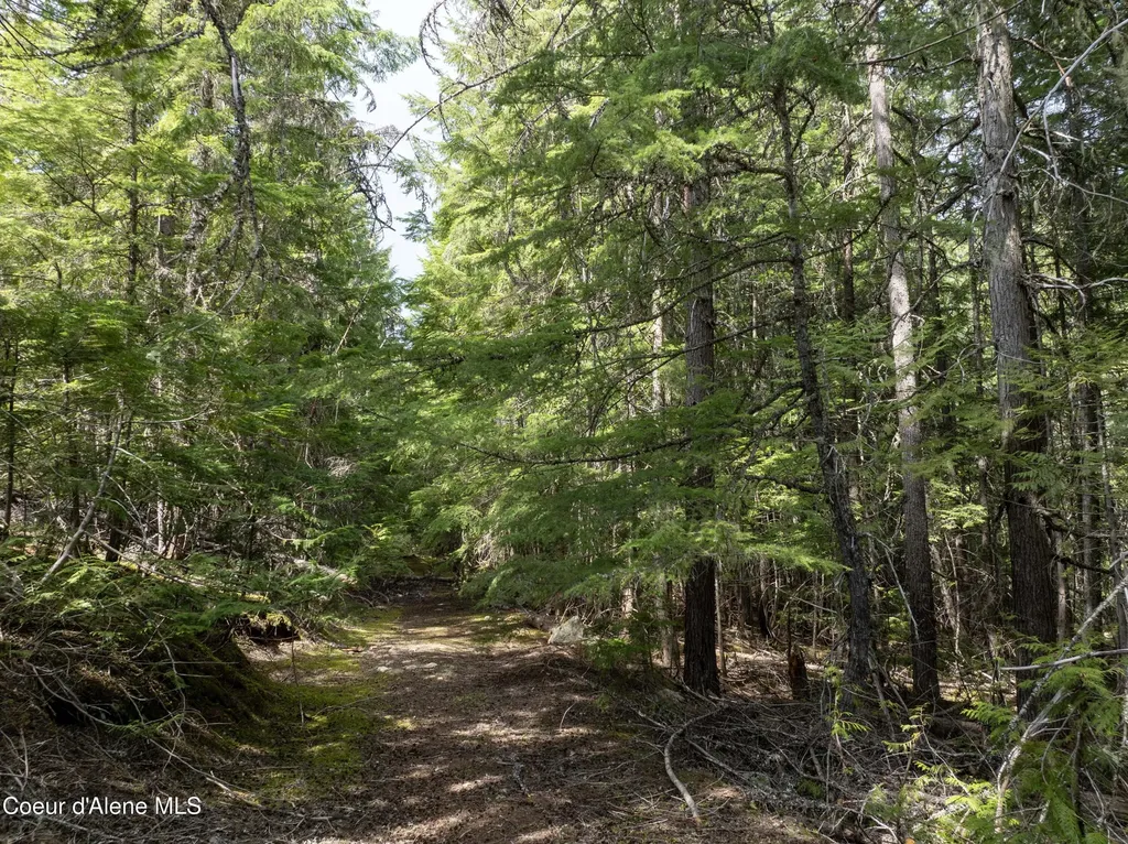 20 Acres Canoe Point Road Coolin ID 83821