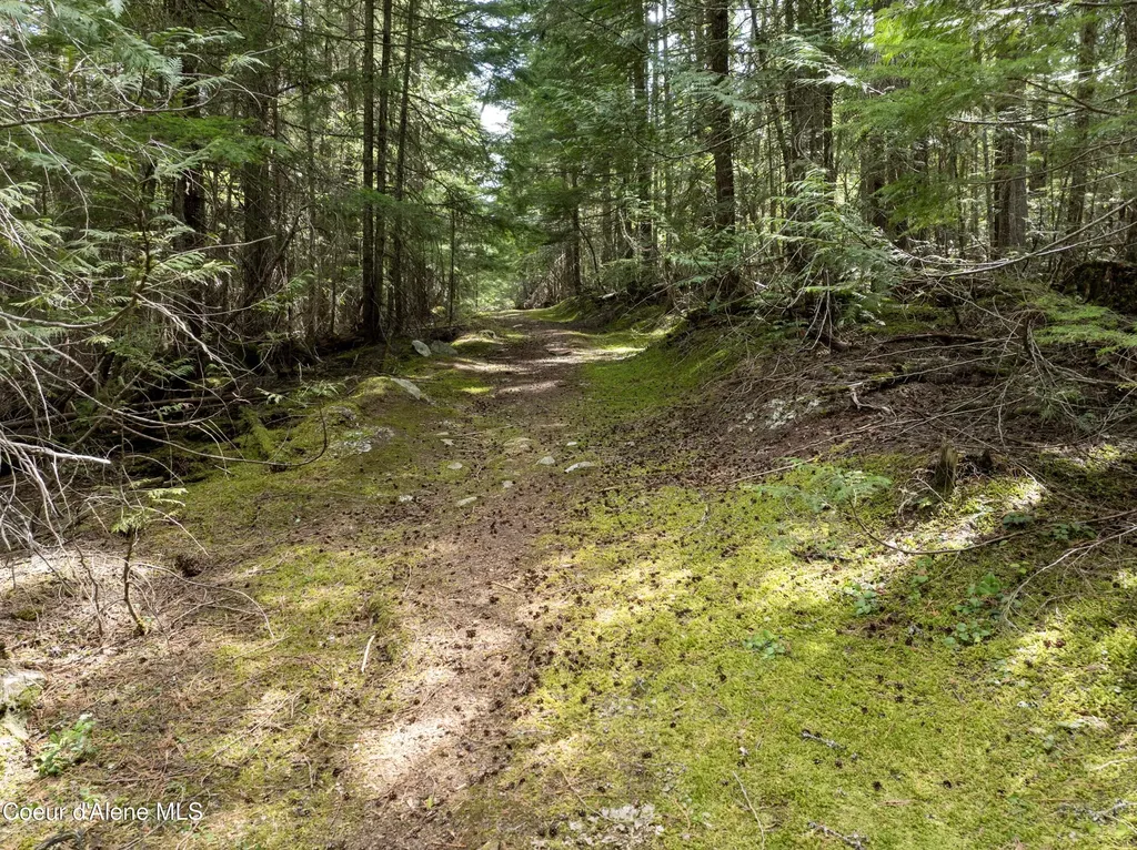 20 Acres Canoe Point Road Coolin ID 83821