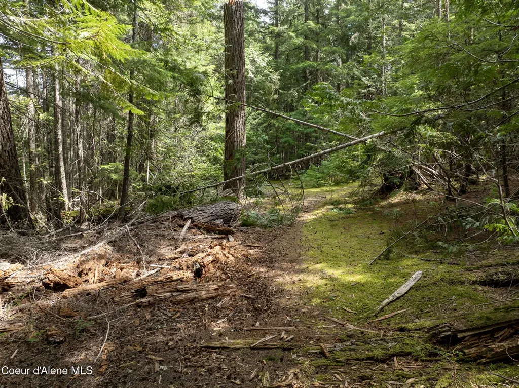20 Acres Canoe Point Road Coolin ID 83821