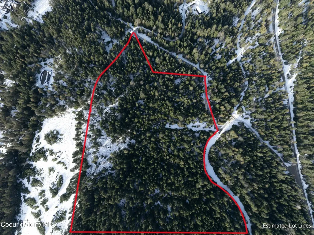20 Acres Canoe Point Road Coolin ID 83821