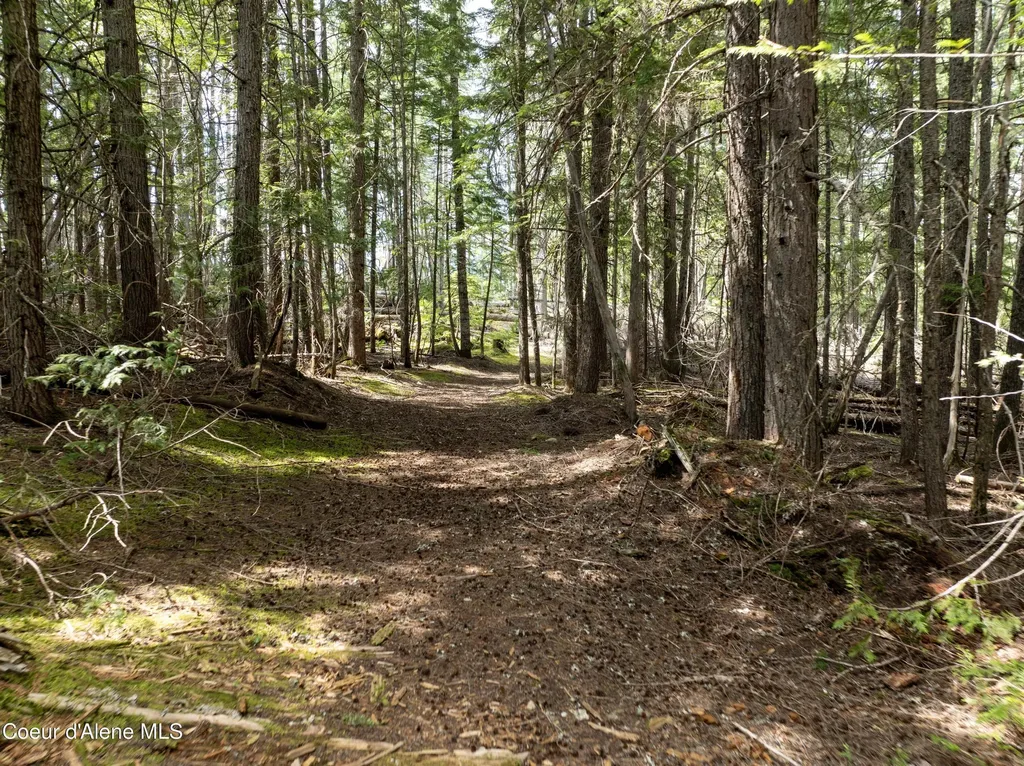 20 Acres Canoe Point Road Coolin ID 83821