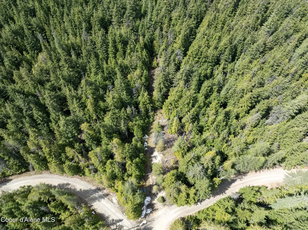 20 Acres Canoe Point Road Coolin ID 83821