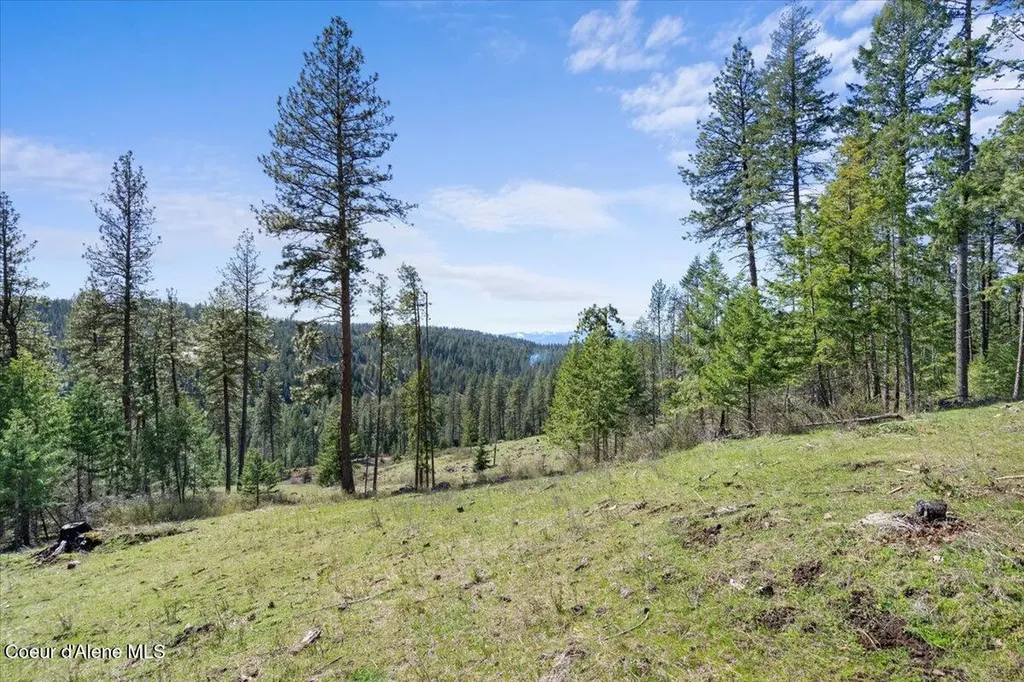L3B1 Nka Highway 97 Harrison ID 83833