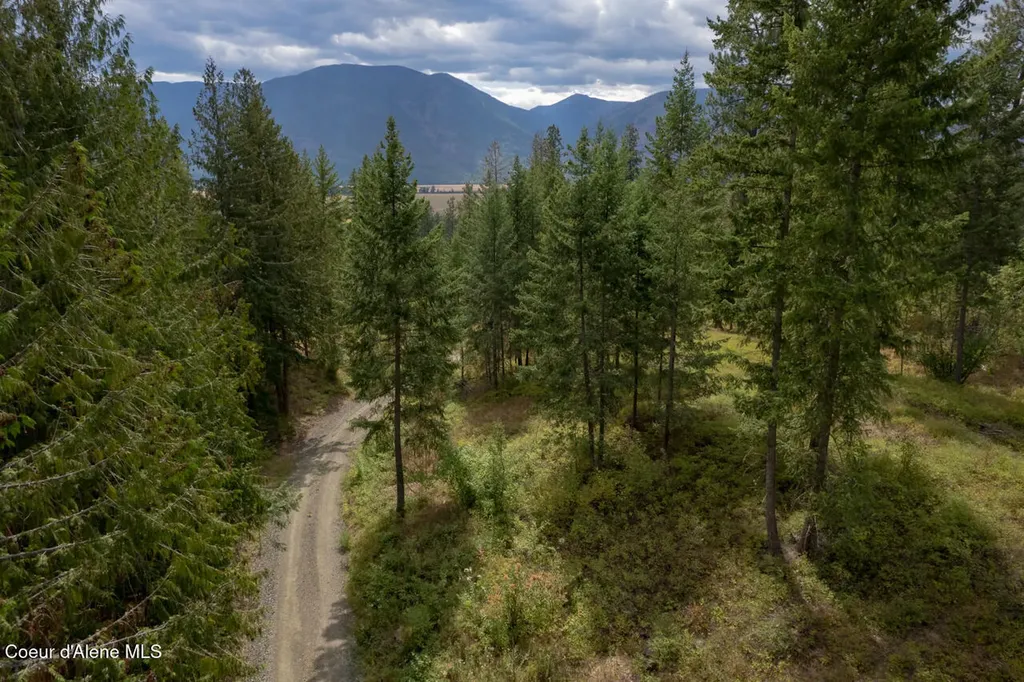 Nna New Chisholm Lot 2 Bonners Ferry ID 83805