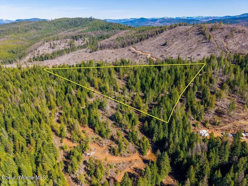 462 E Ridge (tract 14) Drive St. Maries ID 83861