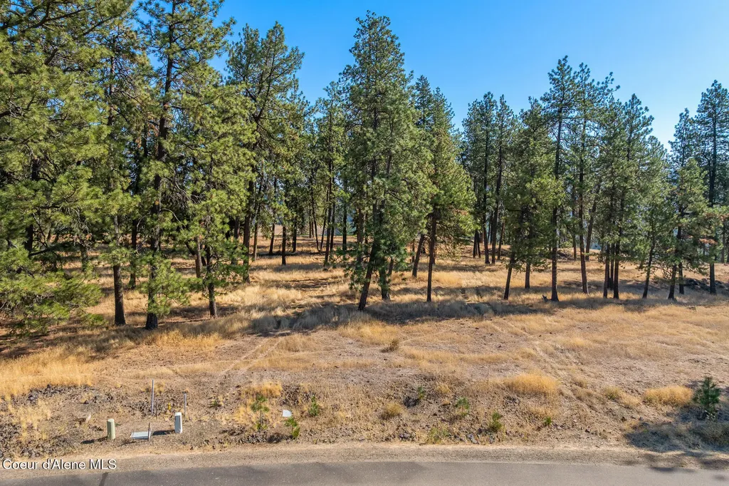 6446 S Old Barn Road Harrison ID 83833