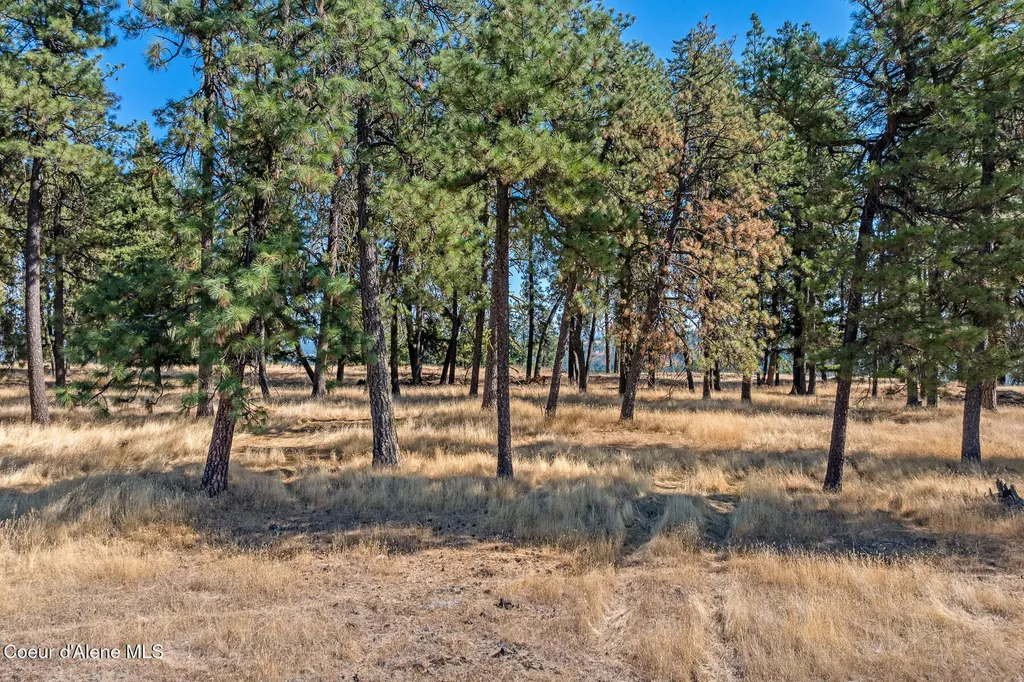 6446 S Old Barn Road Harrison ID 83833