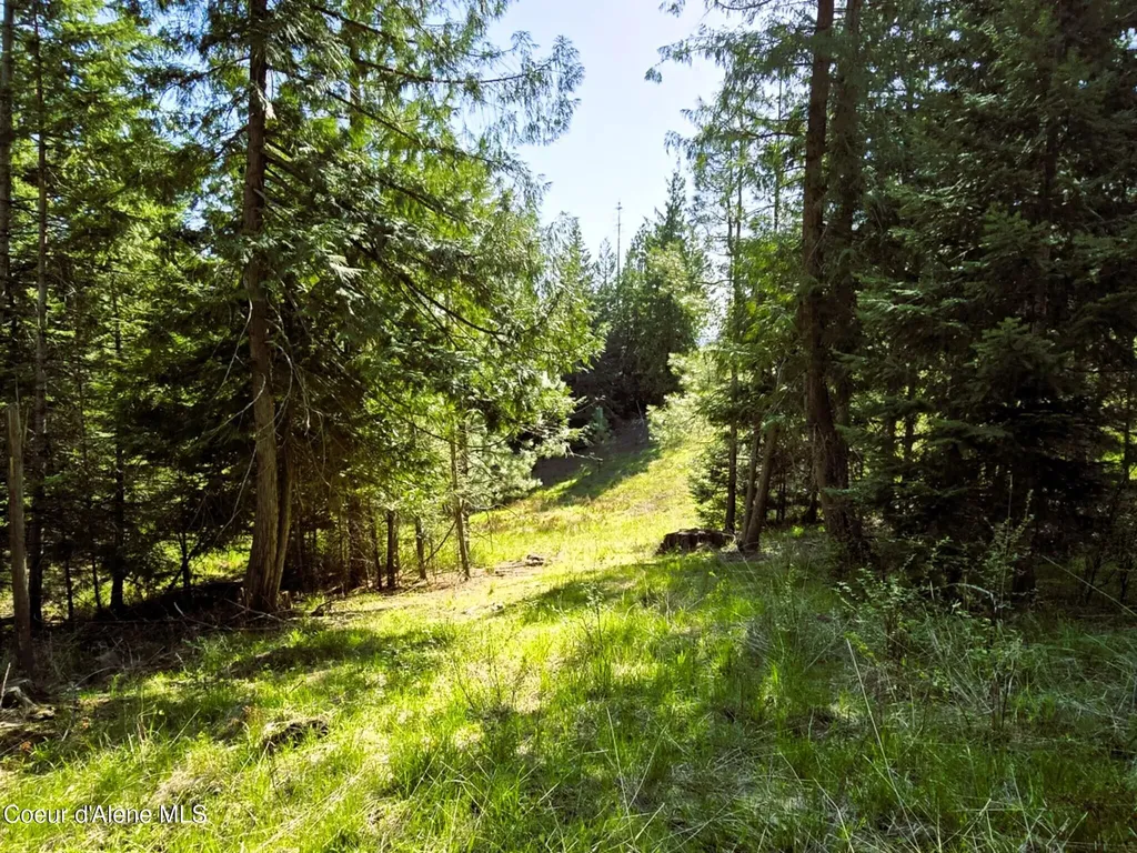 Nka E Emerald Drive Harrison ID 83833