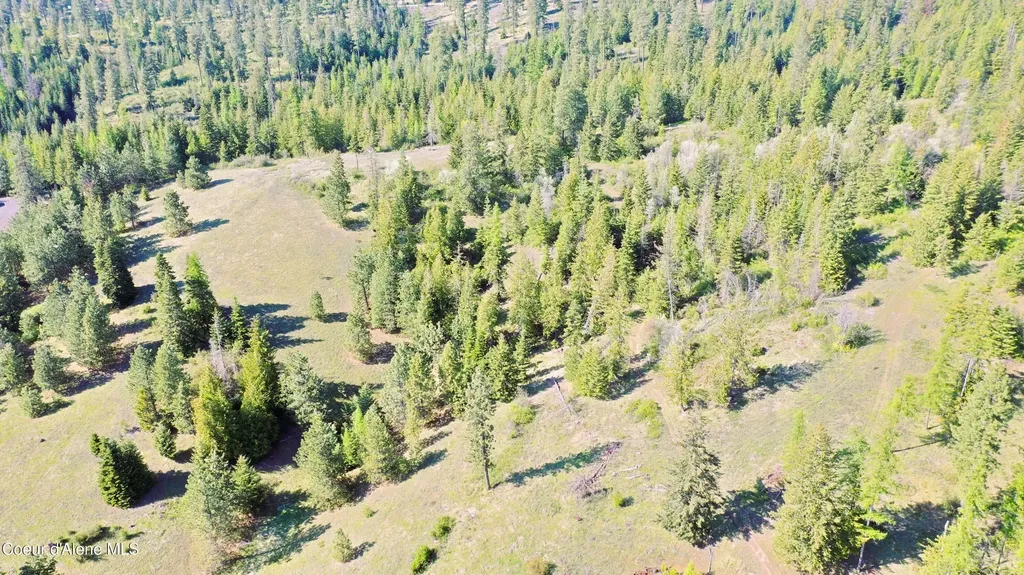 Nka E Emerald Drive Harrison ID 83833