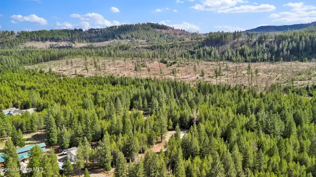 181 E Deer Meadow Lane Blanchard ID 83804