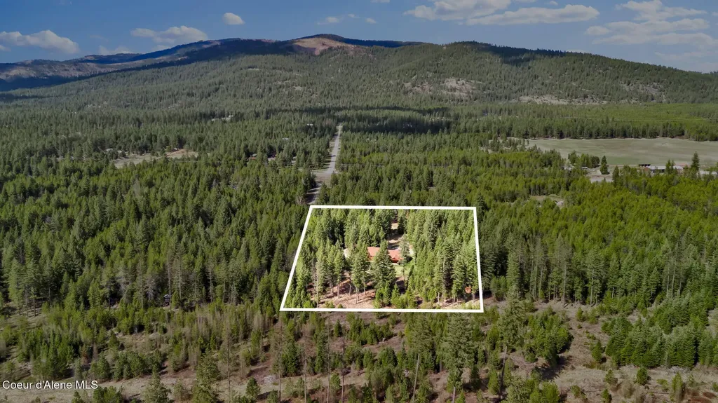 181 E Deer Meadow Lane Blanchard ID 83804